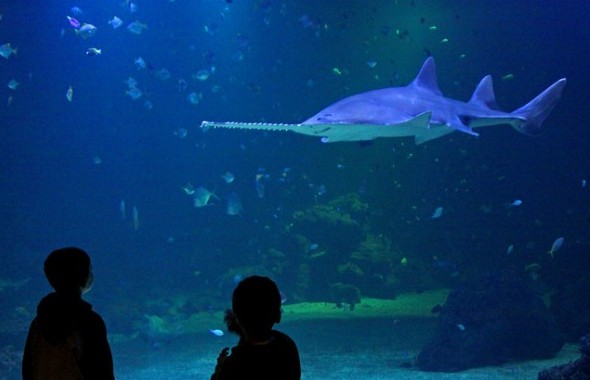 Universeum in Göteborg