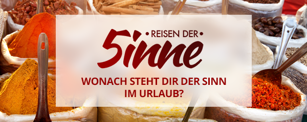 Reisen der Sinne