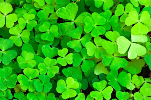 St. Patrick's Day Fun Facts