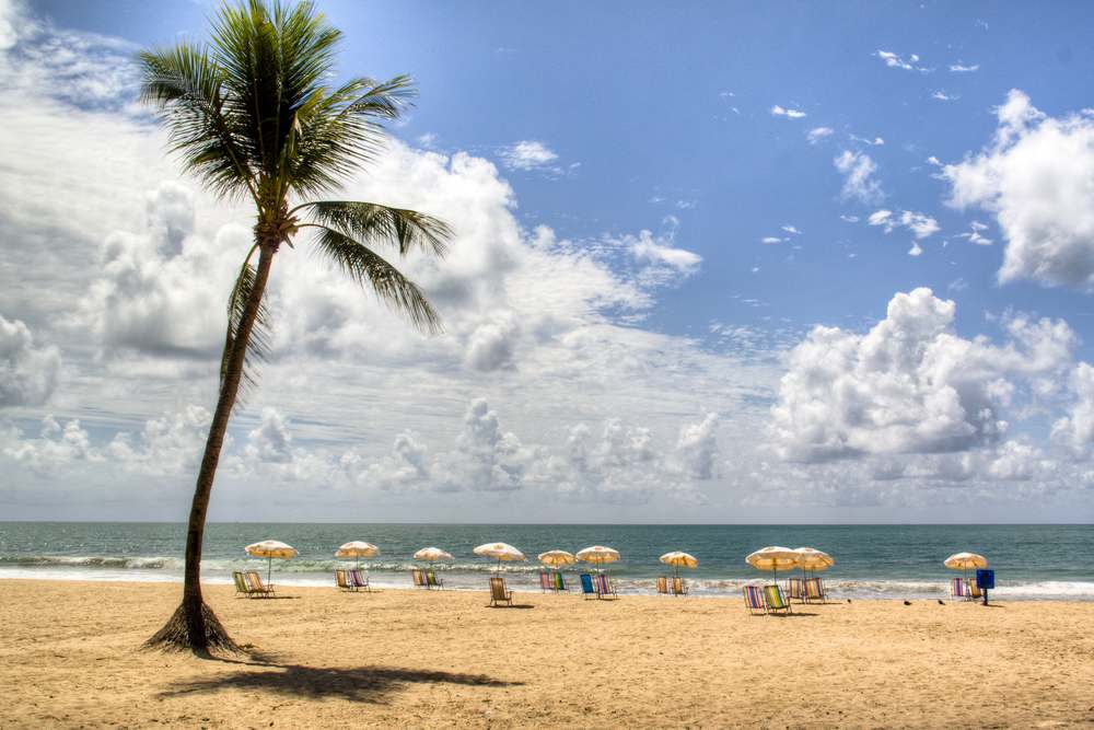 Brasilien Reisetipps, Recife, Strand, Palmen, Atlantikküste