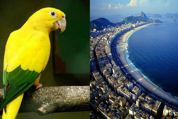 Brasilien Reisetipps