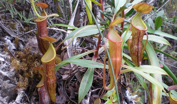 neue unesco welterbestätten