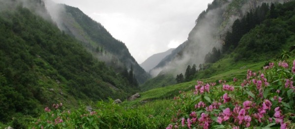 Der große Himalaya-Nationalpark © www.greathimalayannationalpark.com