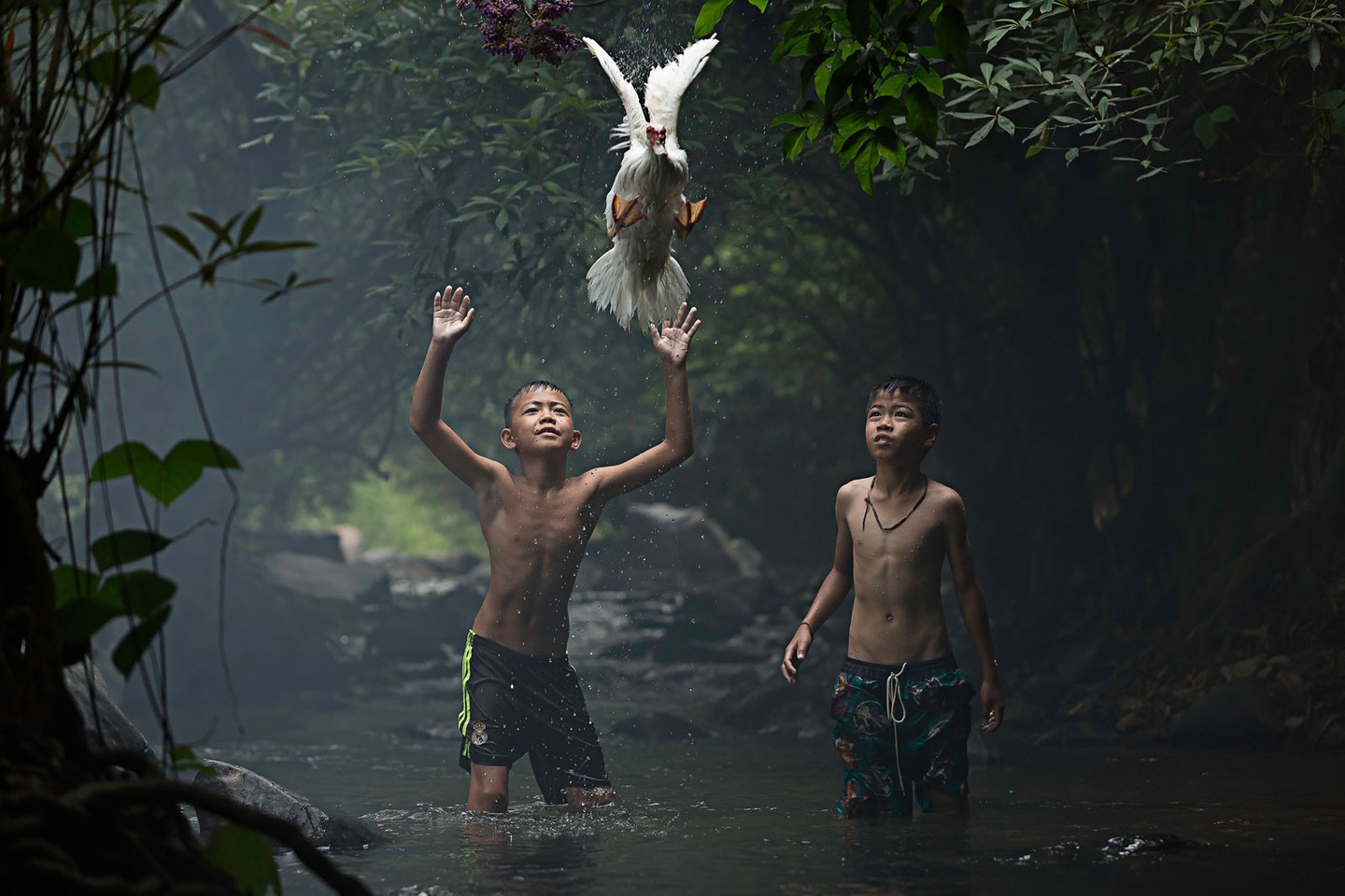 jungen, ente, fluss, wald, asien, Sarah Wouters / National Geographic Traveler Photo Contest