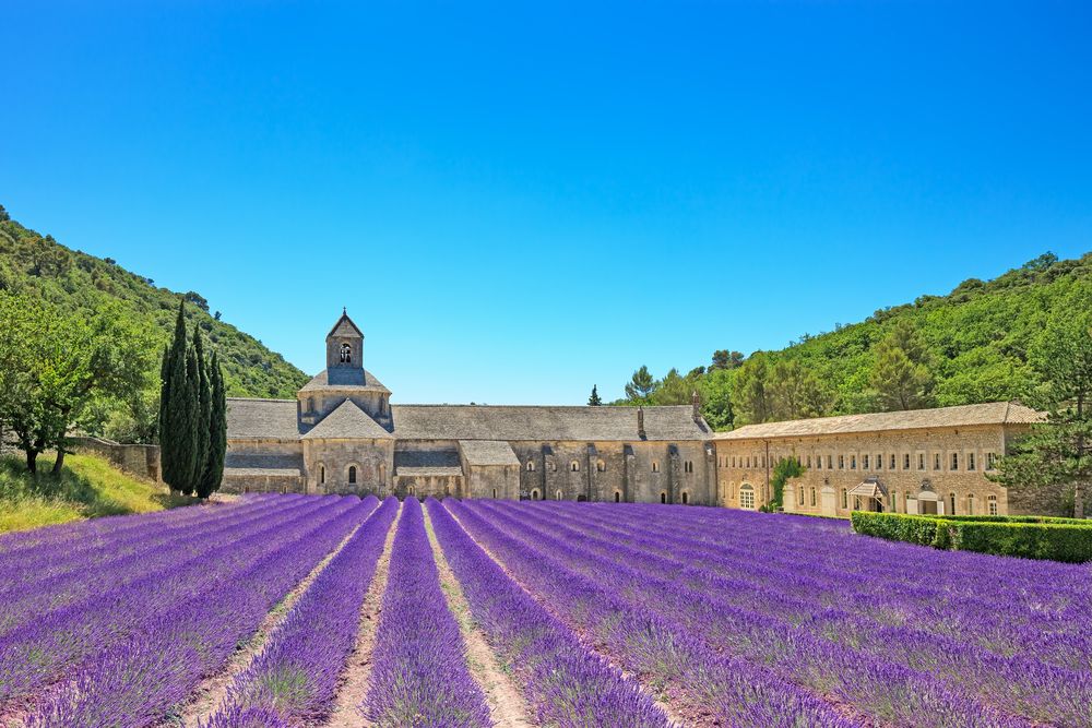 Notre Dame de Sénanque, provence, luberon, vaucluse, lavendel