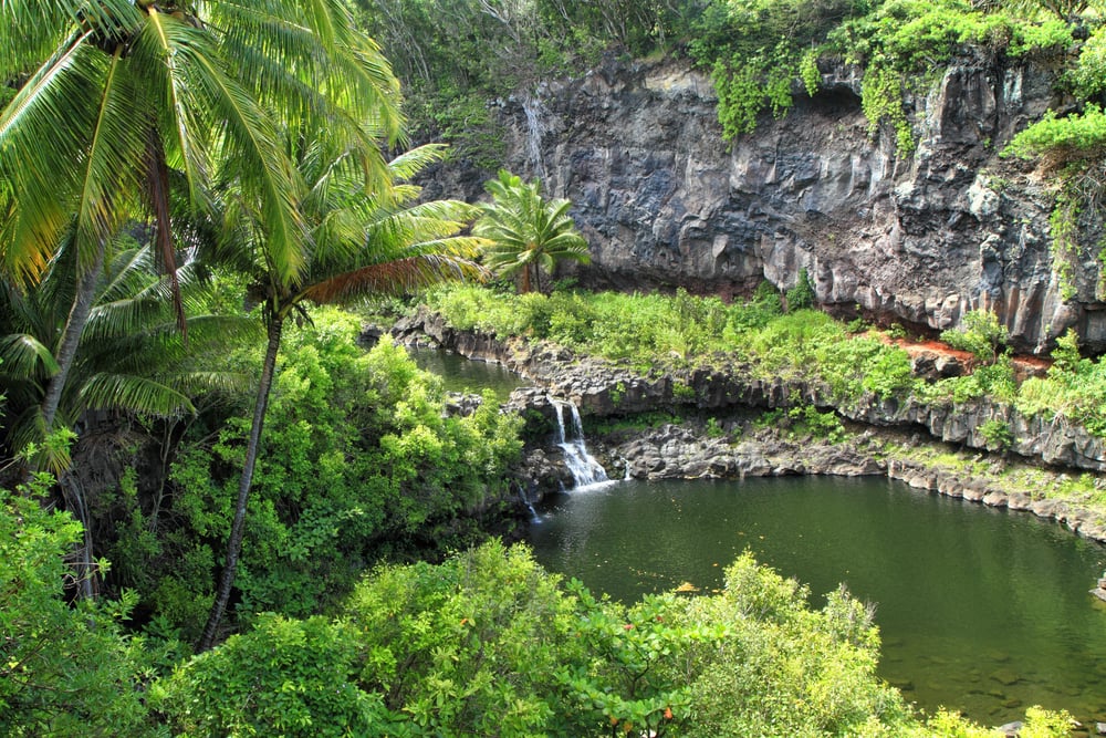 Die Pools of Oheo in der Oheo Gulch an den Hängen des Haleakalā.