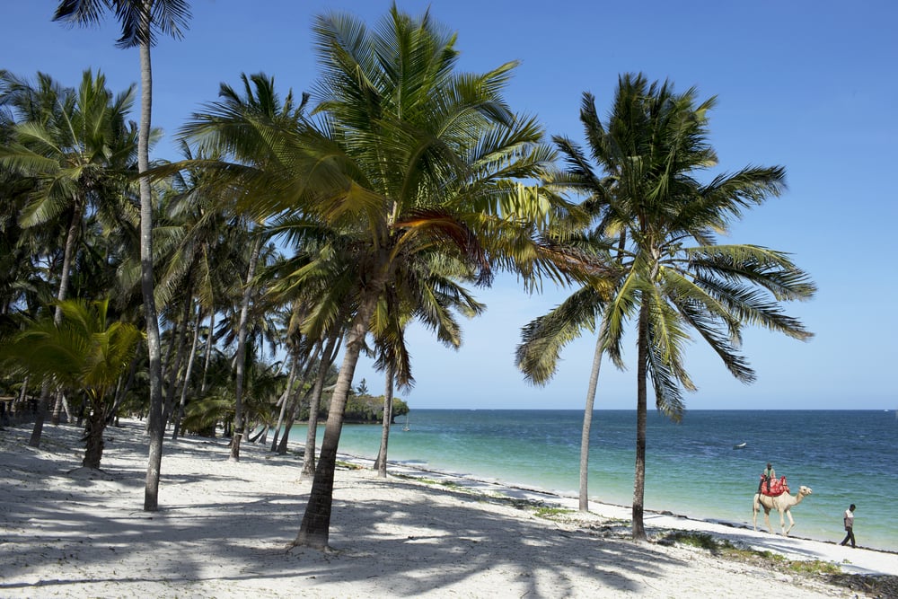 diani beach, kenia, afrika, indischer ozean, palmen, strand