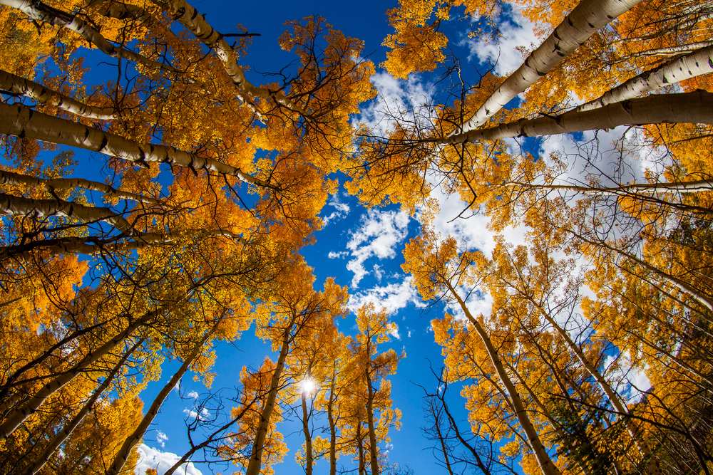 die schönsten indian summer fotos, herbst, usa