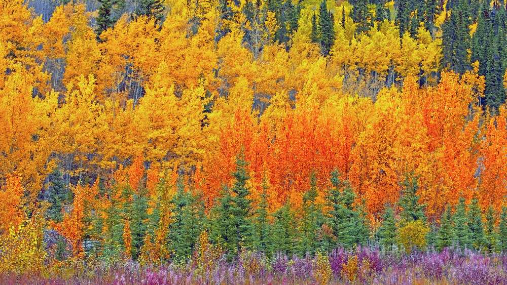 schönsten Indian Summer fotos, herbst, usa