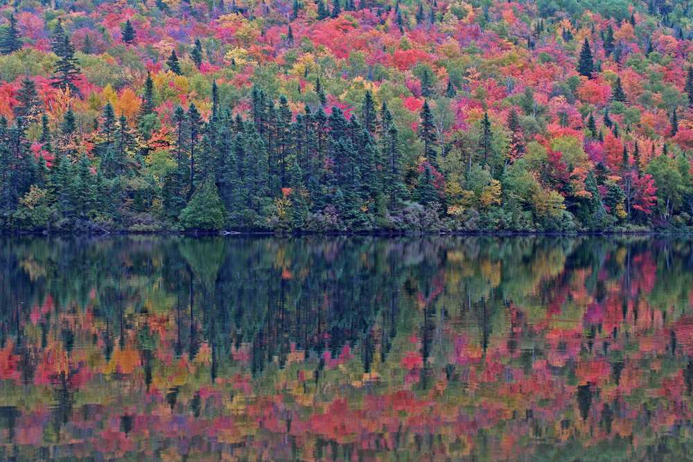 schönsten Indian Summer fotos, herbst, usa