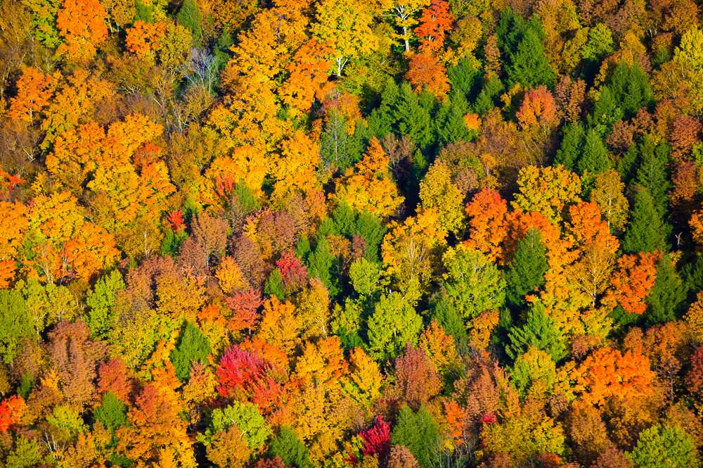 schönsten indian summer fotos, herbst, usa