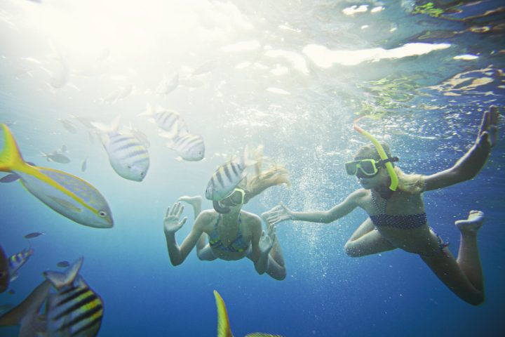 curacao reisetipps tauchen, unter wasser, schnorcheln