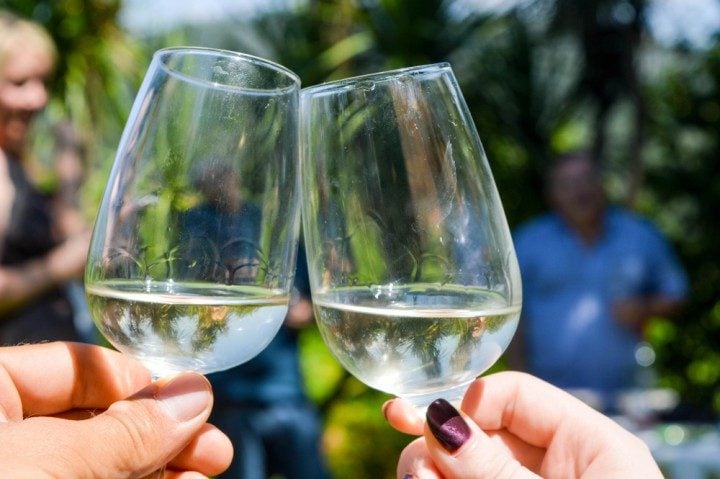 weingläser, vinho verde route, portugal, weinlese