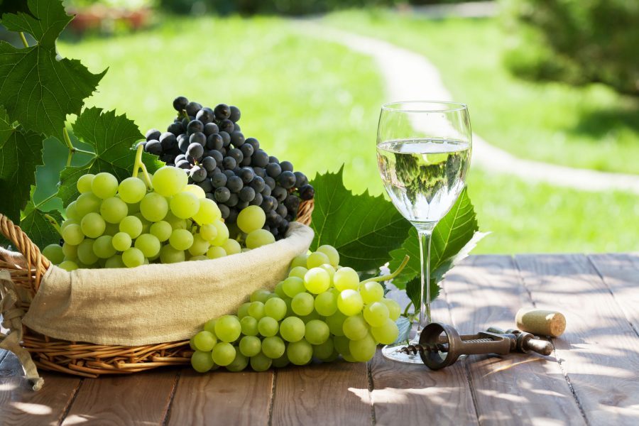 vinho verde, weintrauben, weinglas, korkenzieher, vinho verde route