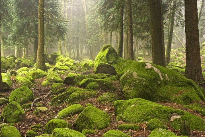 Nationalpark portugal, peneda-gerês, vinho verde route