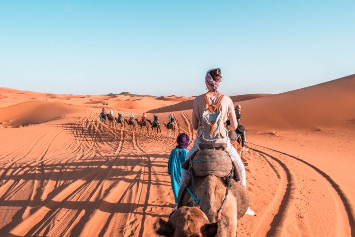 Marokko, Wüste, Sahara, Kamel