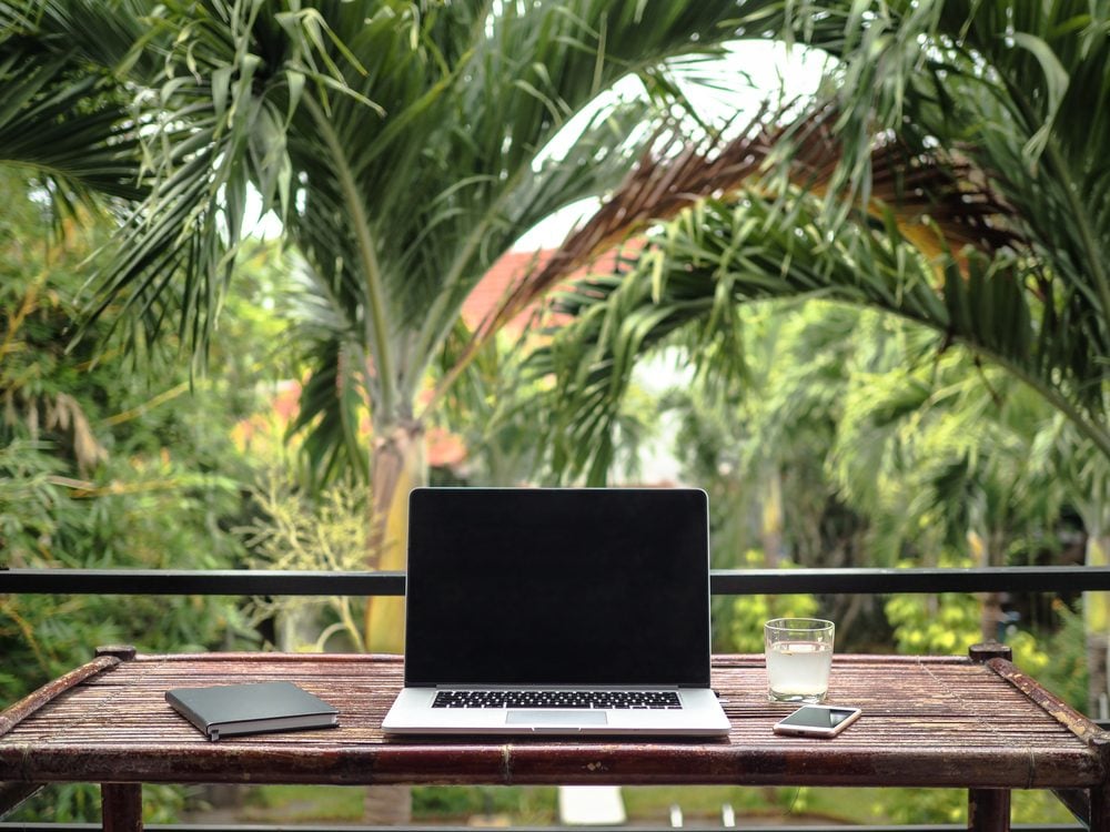laptop vor palmen, digital nomad, digitale nomaden, work and travel, remote work, home office auf reisen