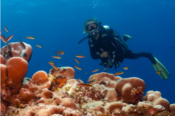 Panama, Nationalpark Coiba, Tauchen, unter Wasser, Korallenriff