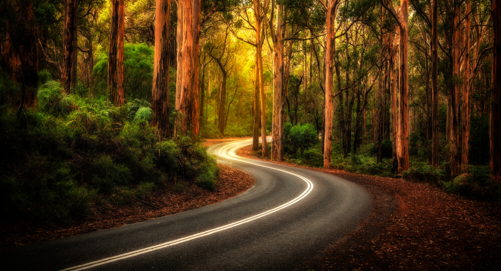 The Great South West Edge, Roadtrip Westaustralien