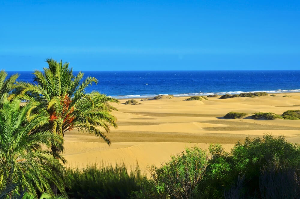 Urlaub auf Gran Canaria, Maspalomas, Dünen, Palmen