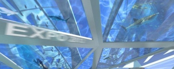 Der-lebende-Ozean-und-die-Küste-Expo-2012