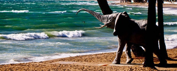 Elephantendusche Marbella