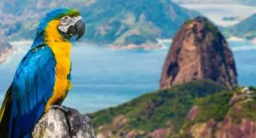 Die Dos und Don'ts in Rio de Janeiro