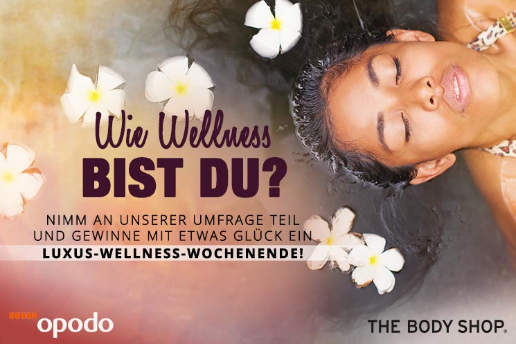 wie wellness bist du?