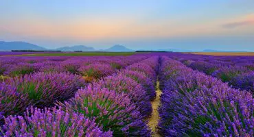 Wellness in der Provence: Reisetipps für Region und Hotels