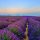 lavendel, lila, provence, himmel, feld, lavendelfeld, frankreich