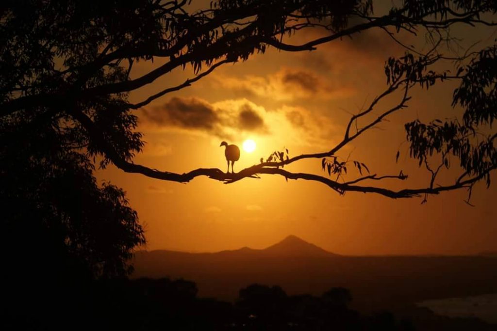 travel pics, instagram, gewinnspiel, nature lovers