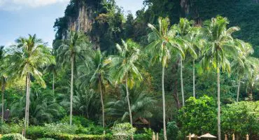 Die schönsten Krabi, Thailand, Bilder auf Instagram
