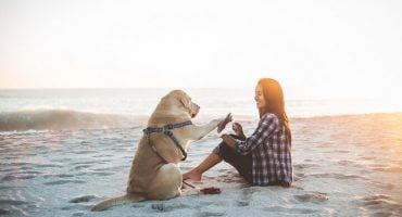 Interview: Reisen mit Hund