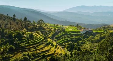 Die Route des Vinho Verde in Portugal
