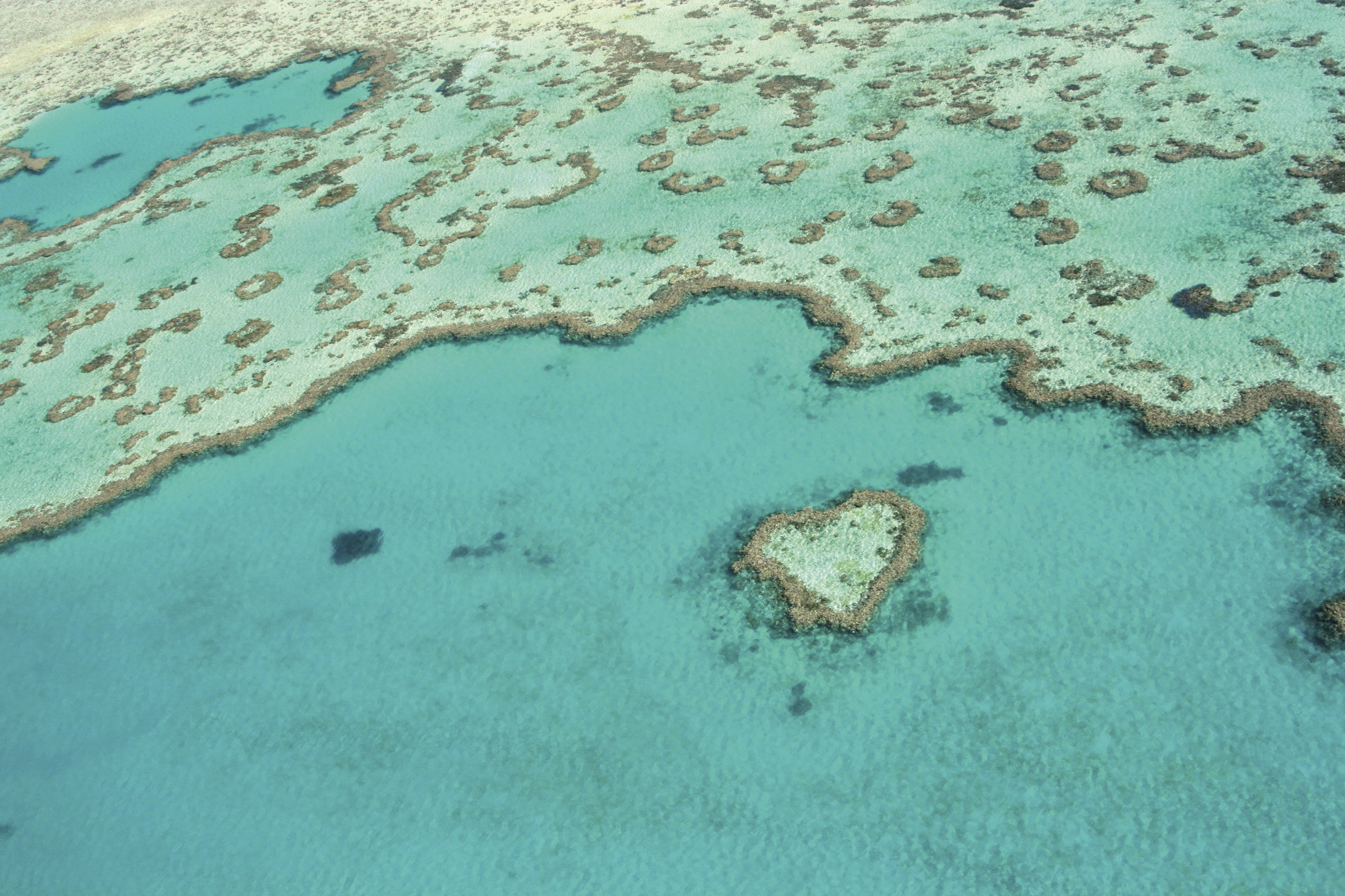 Great Barrier Reef, Australien