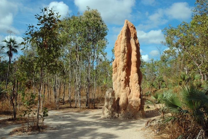 Australiens Northern Territory
