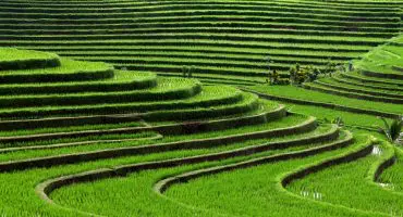 10 Kuriositäten über Bali