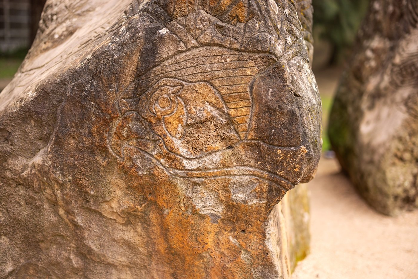 Ureinwohner, Australien, Wandmalerei, Kunst, Kultur