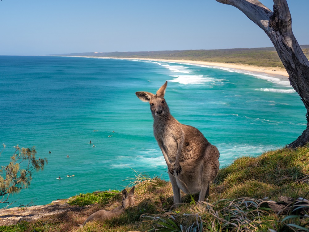 North Stradbroke, Queensland, Australien