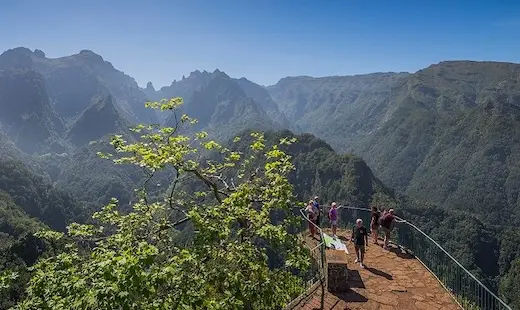 Schutzgebiet Laurisilva