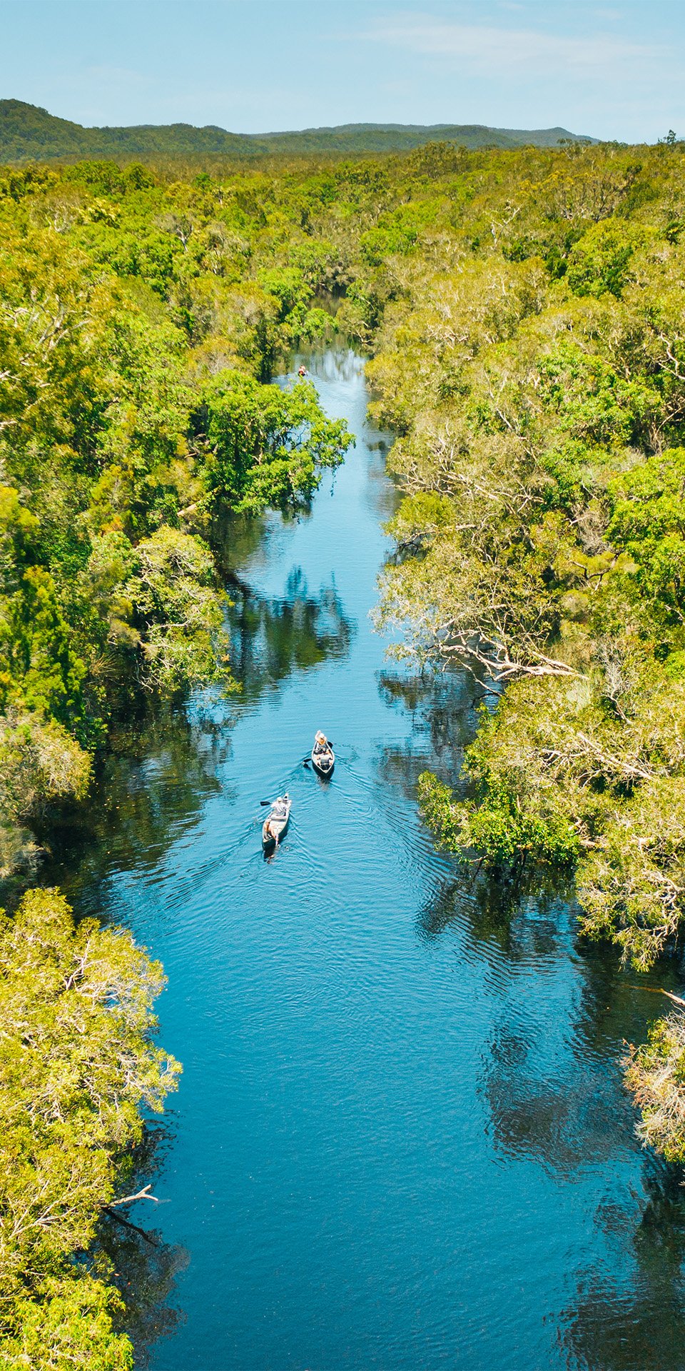 Kanutour in den Noosa Everglades: Vogelbeobachtung und lokale Märkte