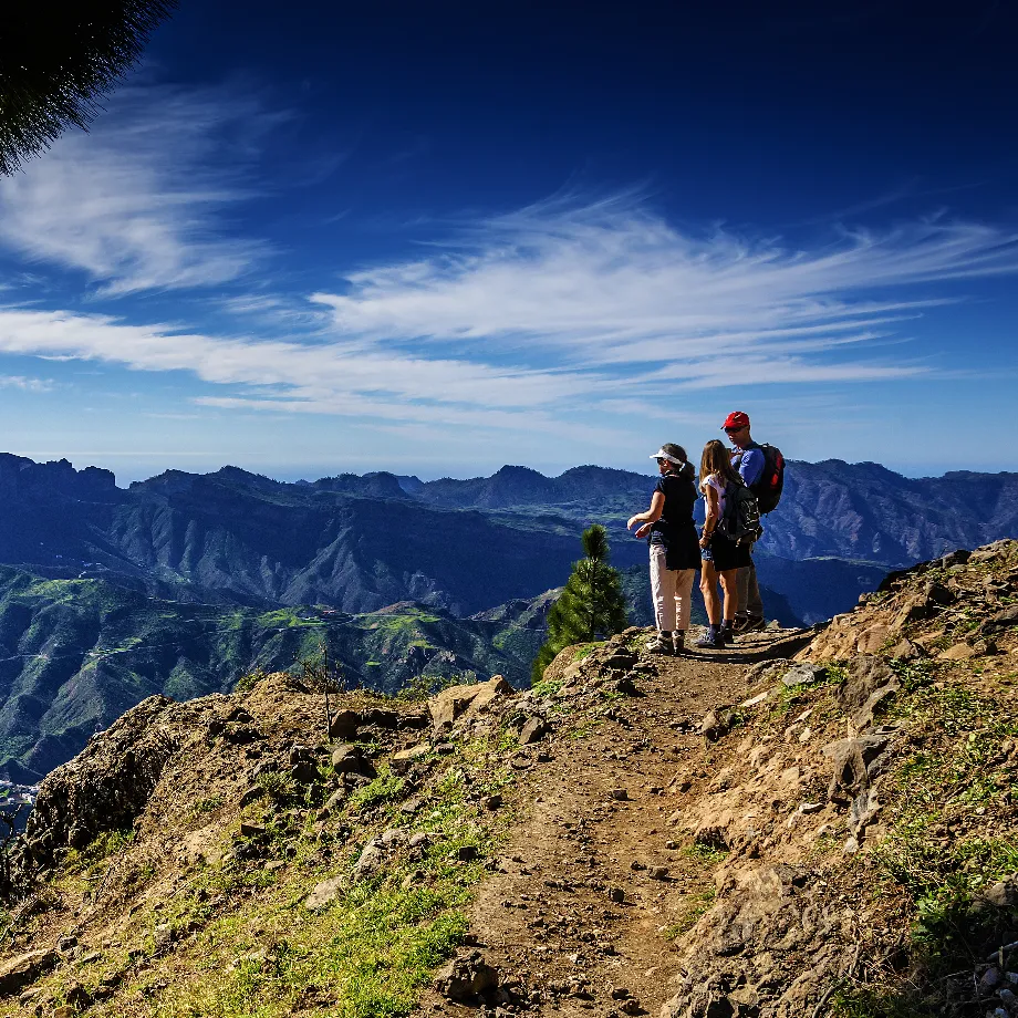 Walking Festival